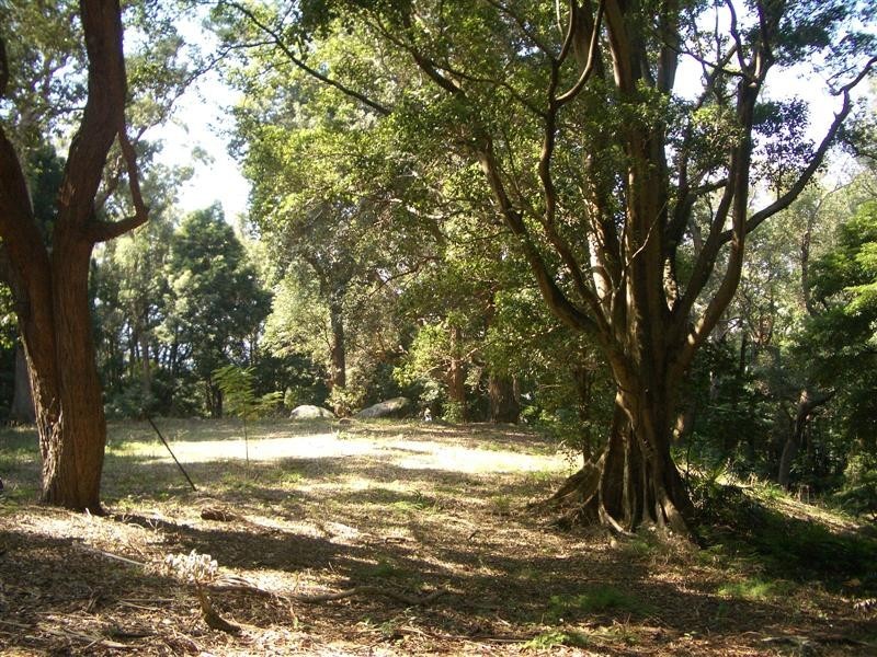 Coledale NSW 2515