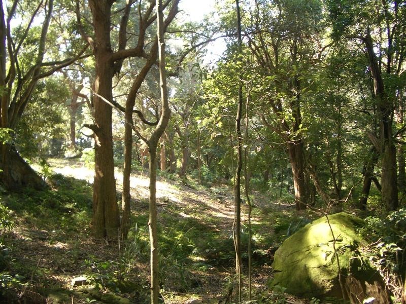 Coledale NSW 2515