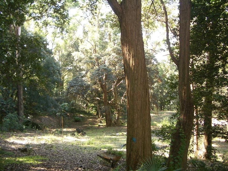 Coledale NSW 2515