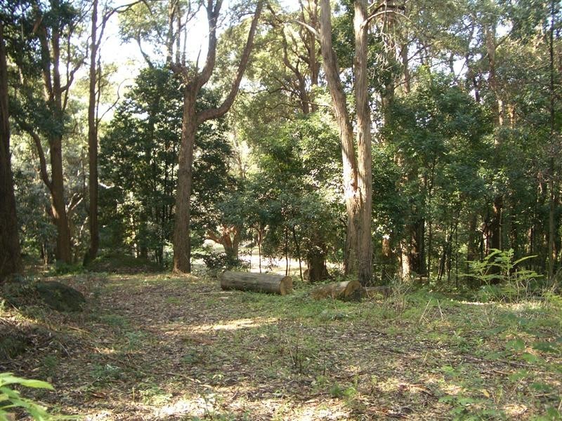 Coledale NSW 2515