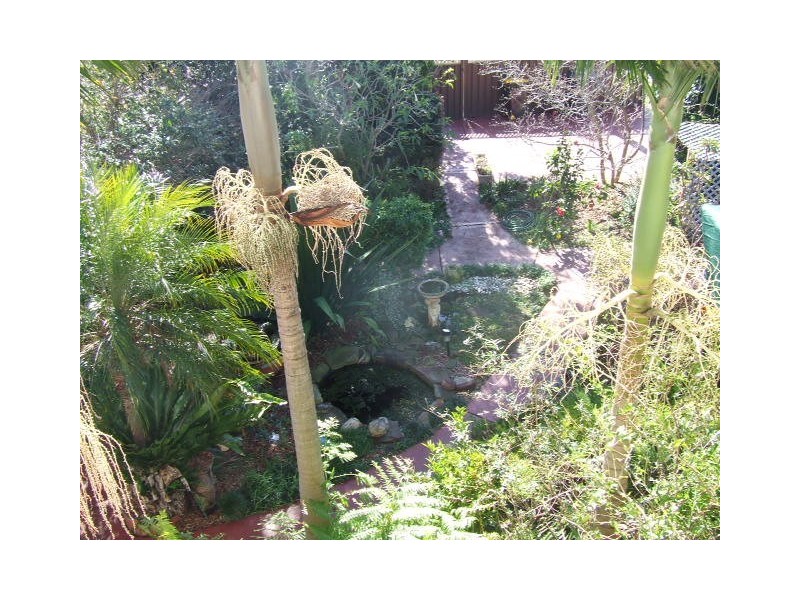 East Corrimal NSW 2518