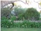 South Toowoomba QLD 4350