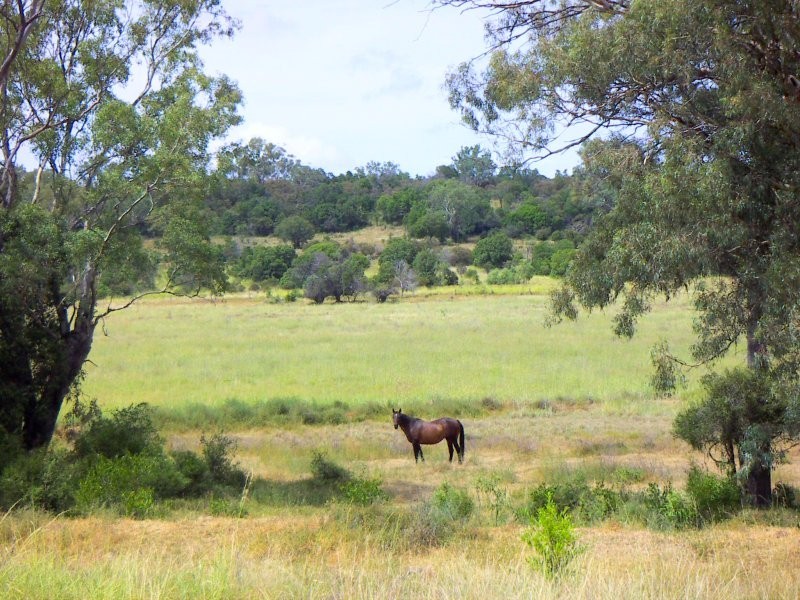 Irongate QLD 4356