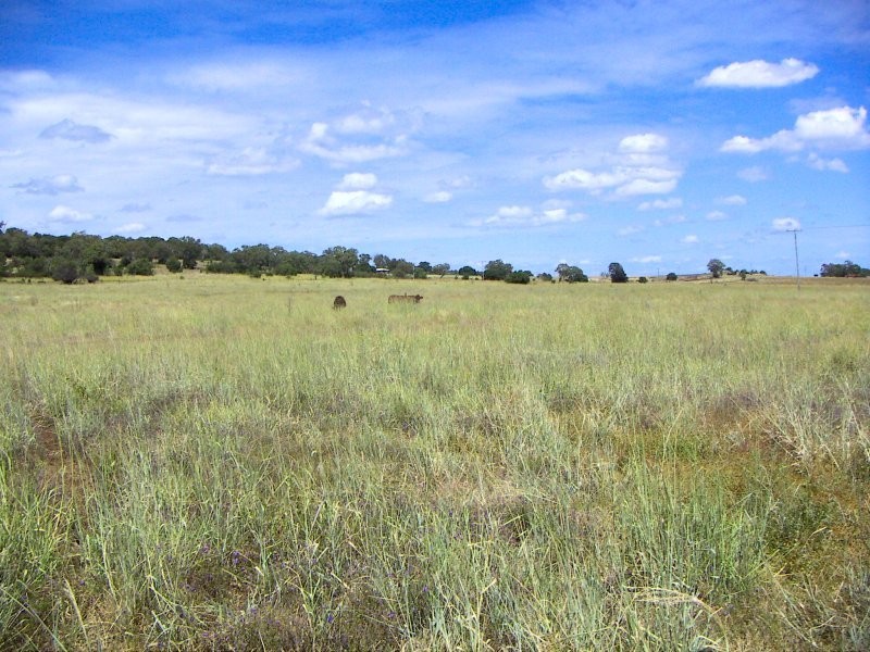 Irongate QLD 4356