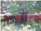 Irongate QLD 4356
