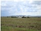 Clifton QLD 4361