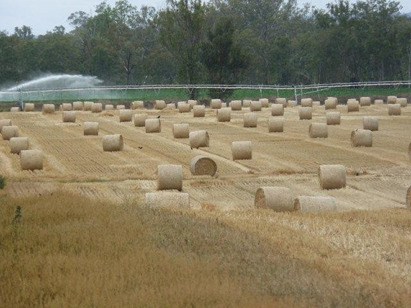 Mundubbera  Rural Property, Mundubbera QLD 4626