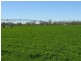 Mundubbera  Rural Property, Mundubbera QLD 4626