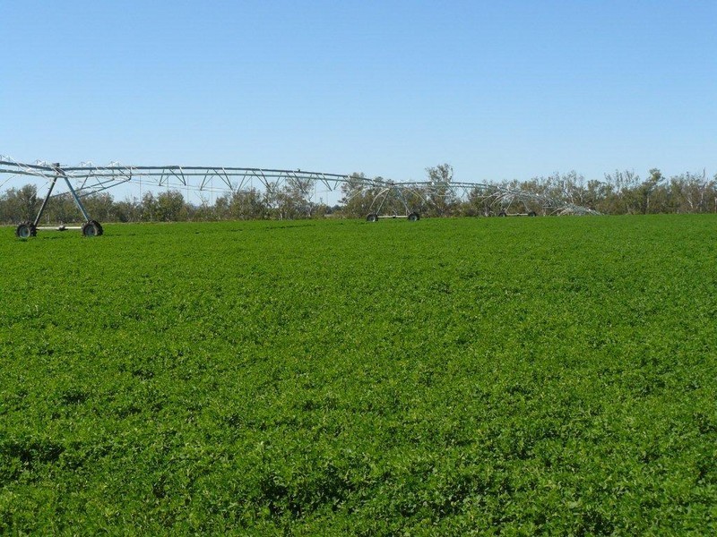 Mundubbera  Rural Property, Mundubbera QLD 4626