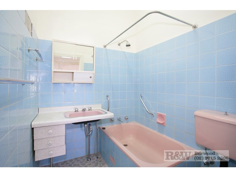 17 Ireland Street, Burwood NSW 2134