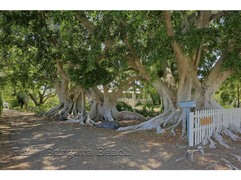 173 Bargara Road, Kalkie QLD 4670