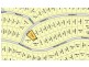 4 Pandanus Crescent, Innes Park QLD 4670