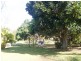 Coral Cove QLD 4670