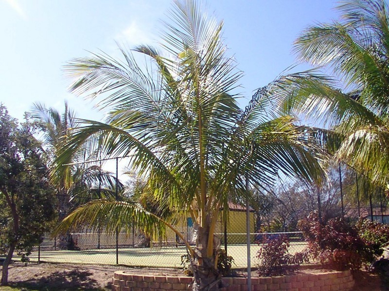 Coral Cove QLD 4670