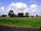 Abbotsford QLD 4670