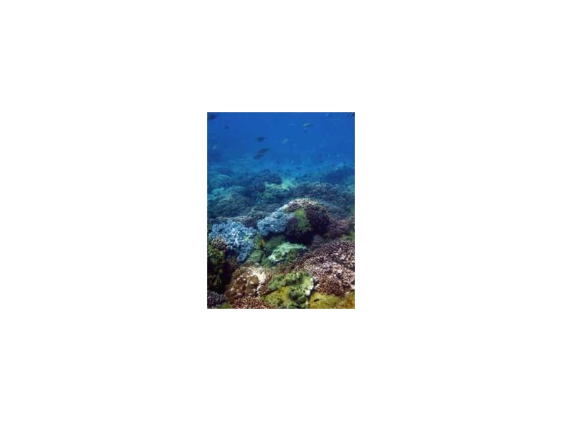 206 Woongarra Scenic Drive, Bargara QLD 4670