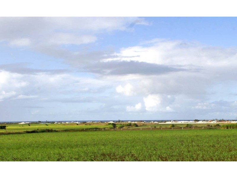 551 Windermere Road, Bargara QLD 4670