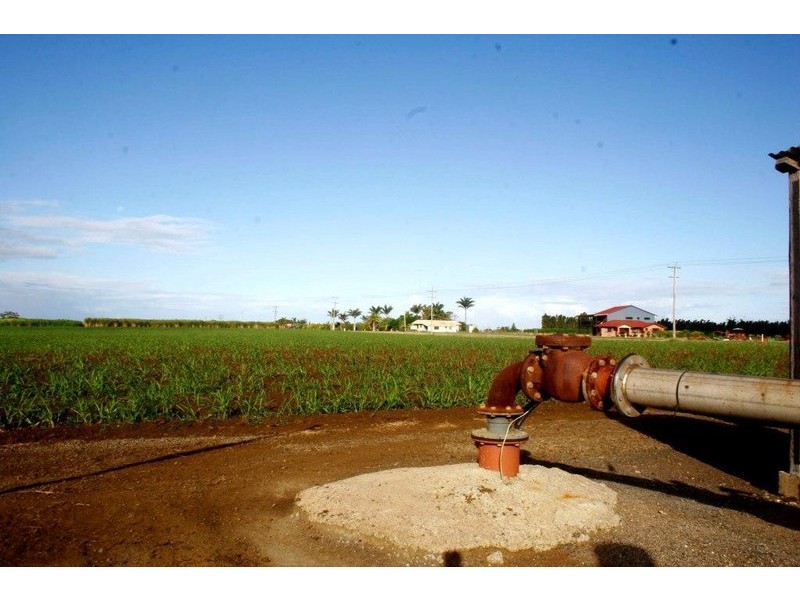 551 Windermere Road, Bargara QLD 4670