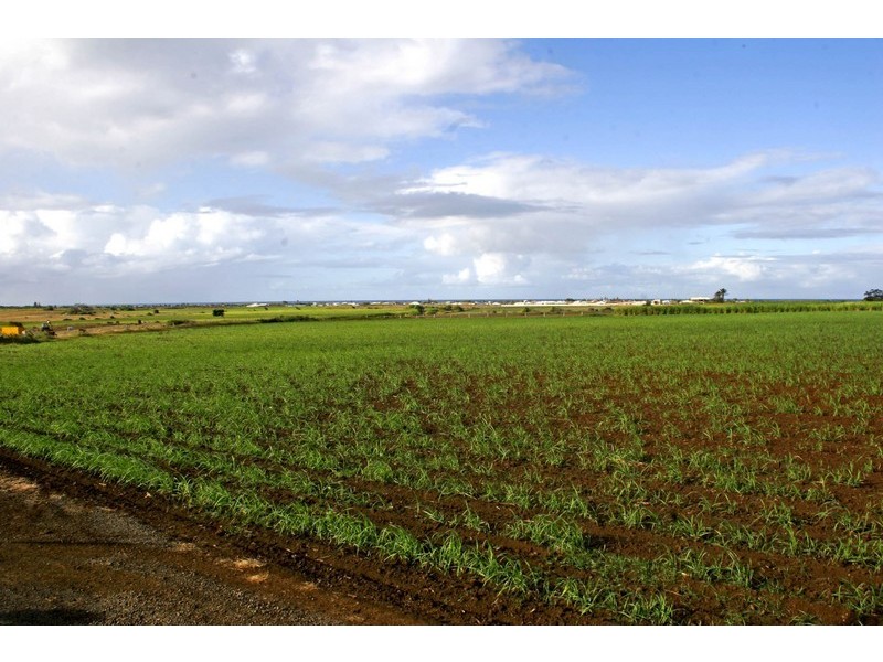 551 Windermere Road, Bargara QLD 4670