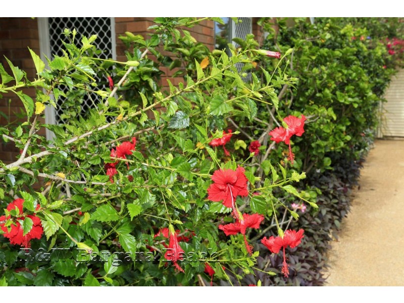 9 Moore Street, Burnett Heads QLD 4670