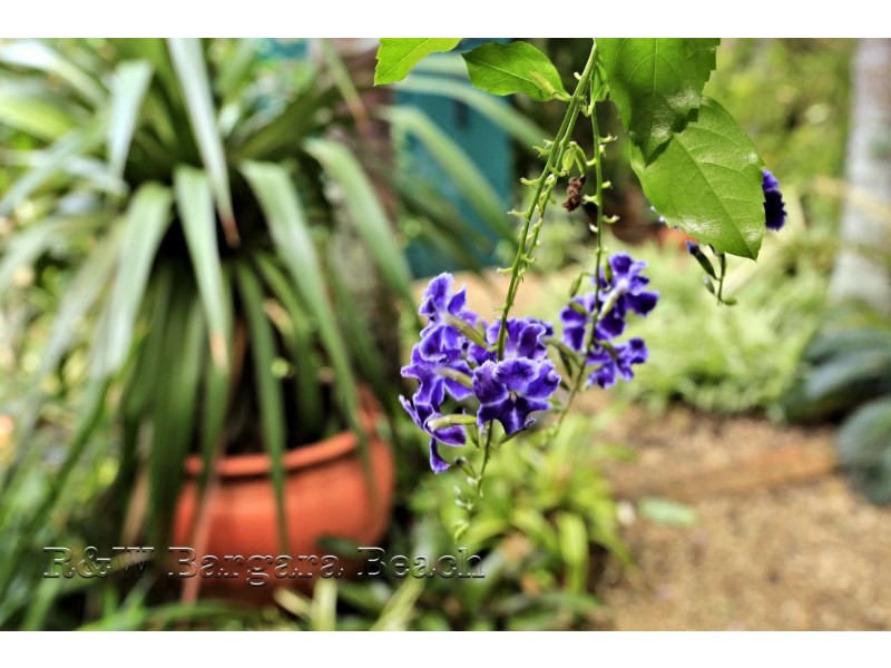 9 Moore Street, Burnett Heads QLD 4670