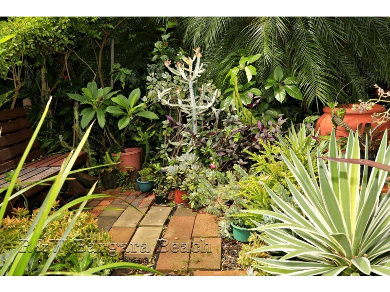 9 Moore Street, Burnett Heads QLD 4670