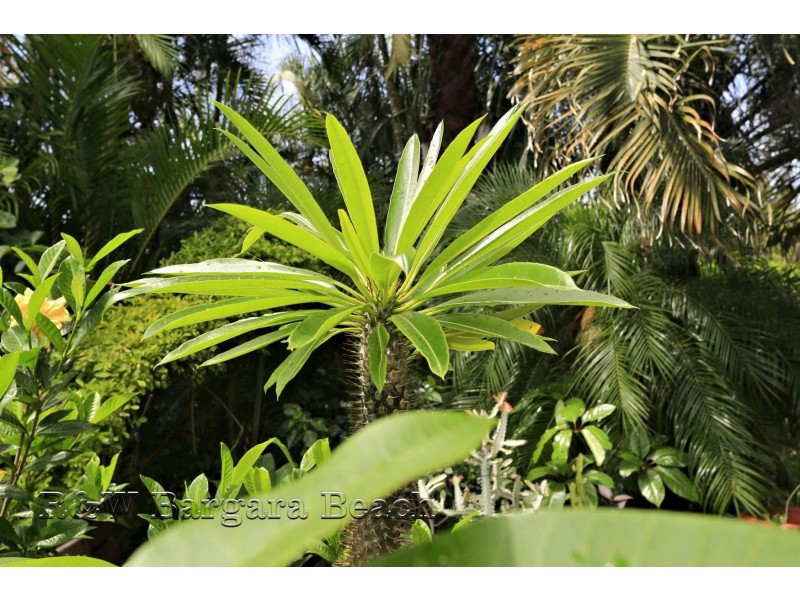 9 Moore Street, Burnett Heads QLD 4670