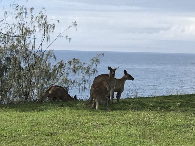 6 Coral Cove Drive, Coral Cove QLD 4670