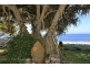 125 Woongarra Scenic Drive, Bargara QLD 4670