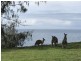 225 Barolin Esplanade, Coral Cove QLD 4670