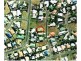 Bargara QLD 4670