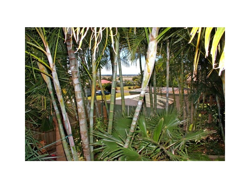 48 Linden Crescent, Qunaba QLD 4670