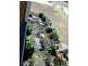 Innes Park QLD 4670