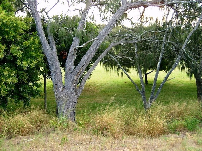Bargara QLD 4670