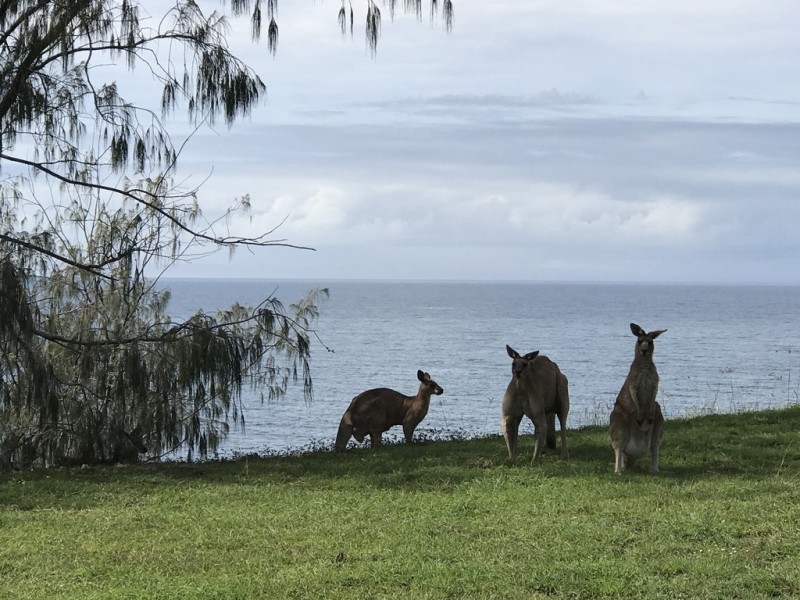 28 Bisdee Street, Coral Cove QLD 4670
