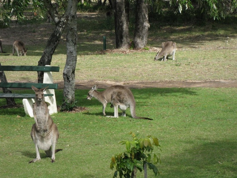 53 Garson Drive, Bargara QLD 4670