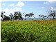 Innes Park QLD 4670