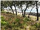 Innes Park QLD 4670