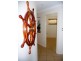 Coral Cove QLD 4670