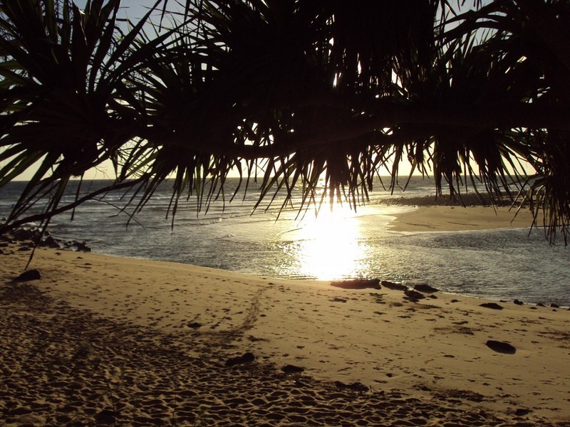 Unit 1/151 Logan road, Innes Park QLD 4670