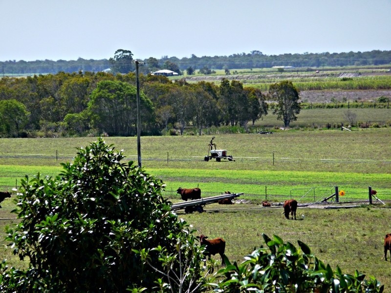 Moore Park Beach QLD 4670