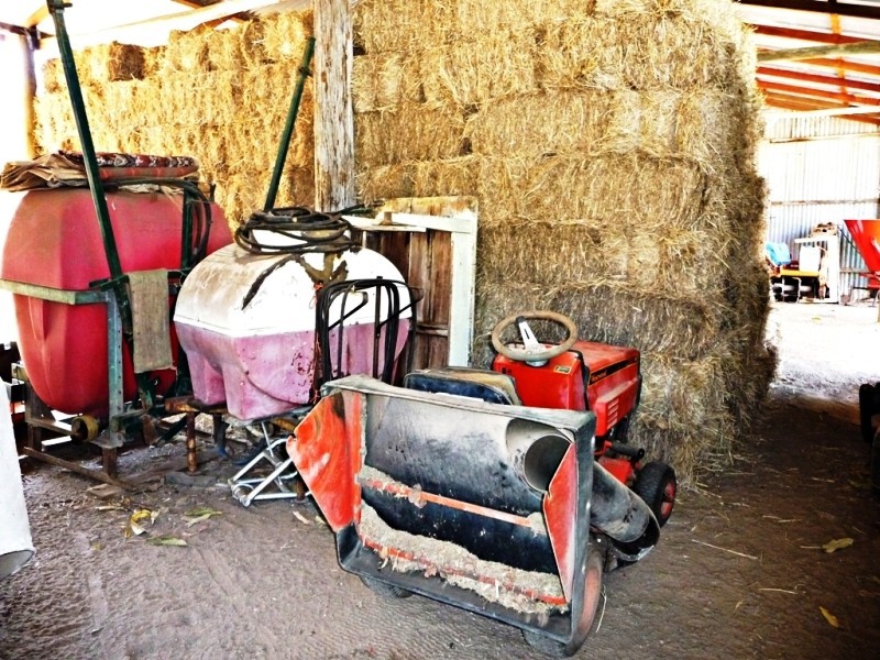 Moore Park Beach QLD 4670