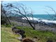 46 Barolin Esplanade, Coral Cove QLD 4670