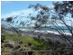 46 Barolin Esplanade, Coral Cove QLD 4670