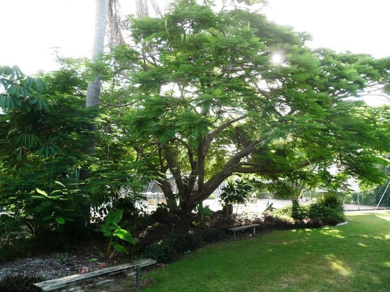 Unit 2 Kellys Beach Resort,10 Trevors Road, Bargara QLD 4670