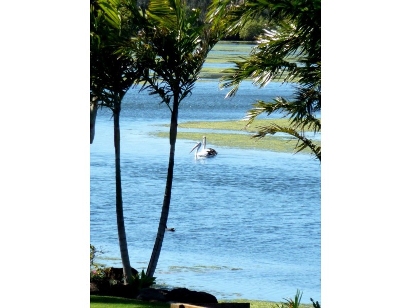 105 Fairway Drive, Bargara QLD 4670