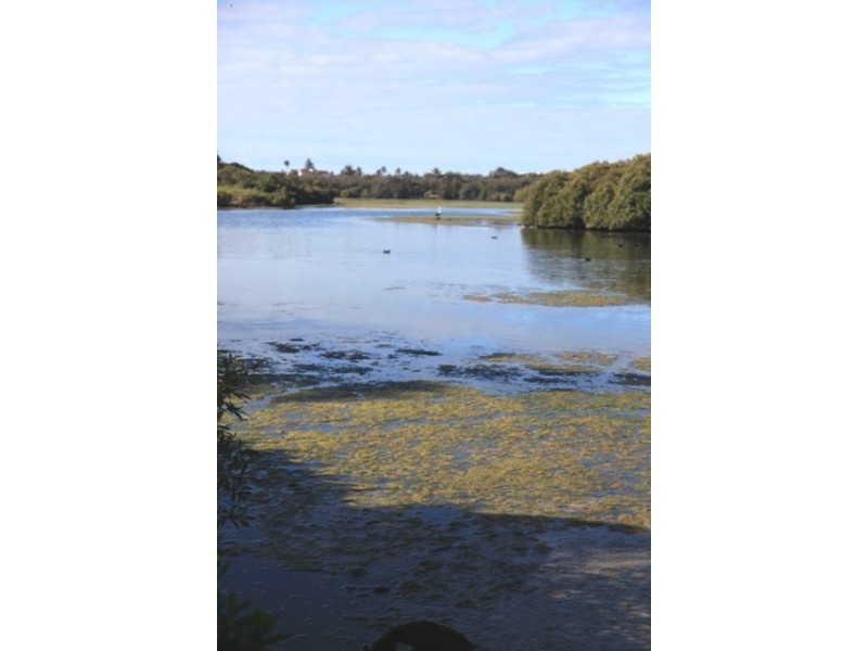 Lot 104 Evas Way, Bargara QLD 4670