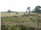44 Hermans Road, Burnett Heads QLD 4670