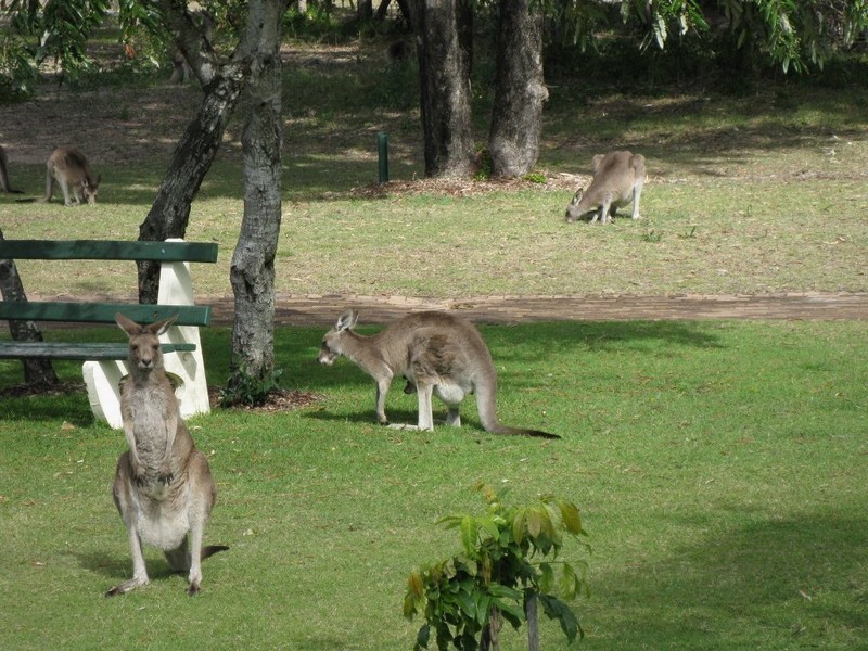 Unit 4 Crystal Waters, 5 Miller Street, Bargara QLD 4670