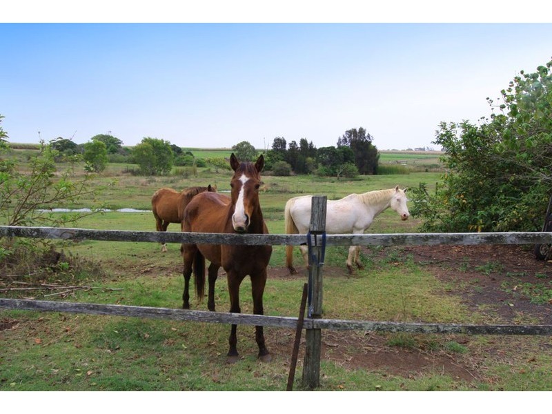 78 Seaview Road, Bargara QLD 4670